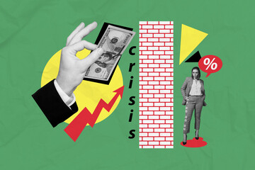 Wall Mural - Composite collage picture of female wall dollars volatility bankruptcy broken collapse crisis currency danger fantasy billboard comics zine