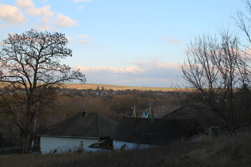 Wall Mural - A house with a view of a bridge and trees