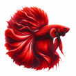 Photo of a betta fish that radiates with a luminous red color. The fish should be depicted with meticulous attention to detail, highlighting the silkiness of its fins and 