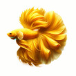 Photo of a betta fish that shines with a brilliant yellow color. The fish should be rendered with exceptional detail, showcasing the delicate texture of its fins