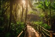 wooden bridge into the rainforest, warm sunlight