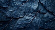 Leaf Texture, Leaf Background With Veins And Cells