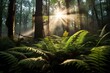 Sunlit fern-covered forest floor creating a serene and magical atmosphere