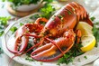 Freshly Cooked Lobster on White Plate with Herbs 