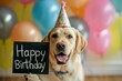 Close up cute funny dog in a festive party hat holds in its paws a sign with the inscription Happy Birthday on a background of balloons