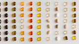 Fototapeta Dziecięca - A group of various pills arranged neatly on top of a white surface, showcasing a selection of different types of dietary supplements