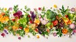 Various types of fresh vegetables arranged neatly on a white surface, showcasing colors and textures