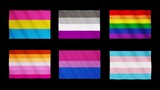 Fototapeta Przestrzenne - 3d Rainbow LGBT set 6 pride flag. Lesbian Gay LGBT+, LGBTQIA homosexuality Trans Bisexual Pansexual asexual flags waving animation. Symbol different colors, Isolated black footage. 