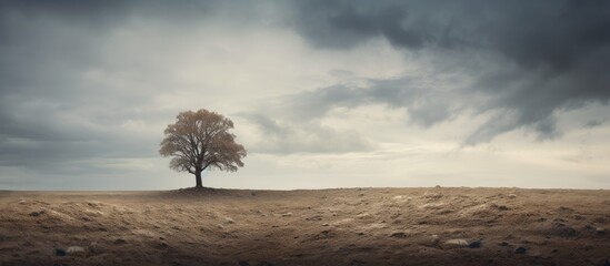 Poster - Lonely tree on hill under cloudy sky