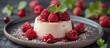 Italian panna cotta cream dessert with raspberries. Sweet food.