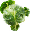 Fresh bok choy leafy green vegetable, cut out transparent