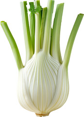 Wall Mural - Fresh fennel bulbs with green stalks, cut out transparent