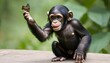 A Curious Baby Chimpanzee Reaching Out To Touch A Upscaled 23