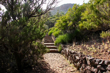 Wall Mural - Paved footpath of the PR 1.2 trail climbing to the Pico Ruivo, the highest mountain peak on Madeira island (Portugal) in the Atlantic Ocean