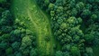 A drone mapping service for conservation and land management