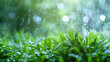 Very beautiful wide-format photo of green grass close-up in an early spring or summer morning, with dew or rain drops on the blades of grass and light bokeh in the morning sun, Generative Ai