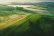Bird's eye view of agricultural cultivated seeded fields, farmland in the rays of the rising sun