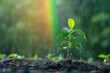 Raindrops falling on the vibrant green leaves of a newly planted tree, with a rainbow appearing in the background, a symbol of hope for the environment's future.