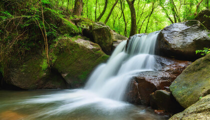 Poster - Enchanting waterfall in lush natural forest serene landscape where water cascades over rocks amidst green foliage creating tranquil travel destination perfect for outdoor photography and environmental