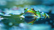Amphibian, vivid frog detail, high contrast, saturated colors, ambient lighting