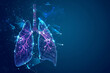 wireframe low poly lung on dark blue background, radiology and medicine, innovation and medical technology concept