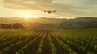 A drone flying above lush green fields during sunset. Agriculture technology concept