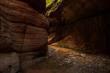 Wall Mural - Sun Begins To Warm Bear Trap Canyon In Zion