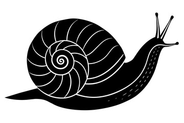 sea snail silhouette vector illustration