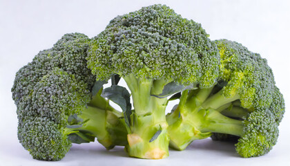 Wall Mural - Fresh Broccoli isolated on white background