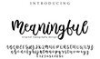 Meaningful Font Stylish brush painted an uppercase vector letters, alphabet, typeface