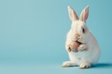 Fototapeta Zachód słońca - White rabbit holding a brown egg gently - A charming white rabbit tenderly grips a brown egg, symbolizing Easter festivities and gentle, caring moments