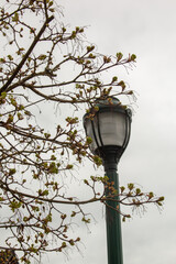 Poster - street lamp in the park