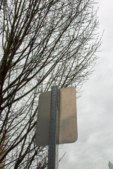 Poster - blank sign on a tree