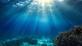 Fototapeta Do akwarium - 太陽光が降り注ぐ海中 Generative AI