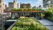An office with its own green roof and living walls, showcasing the potential for urban green spaces. 