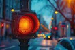 Mirabelle Pedestrian Traffic Light: Ensuring Safe Crossings with Red Signal Life