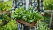 © ISK PRODUCTION - Farmer holding crate full of fresh green vegetables in farm
