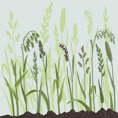 Wall Mural - field grass, vector drawing wild cereal plants at green background, floral composition, hand drawn botanical illustration