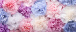 Collection of Colorful Carnation Flowers blooming in soft pastel bright colors on a vast natural spring floral background created with Generative AI Technology