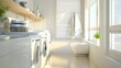 Modern room interior design with bathroom accessories, emphasizing purity and cleanliness, and featuring an organized space for cleaning and laundry, ideally in a recently renovated home