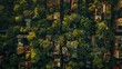 Craft a visually compelling aerial image showcasing the contrast between the man-made structures of urban spaces and the relentless power of nature reclaiming them during periods of human absence Inco