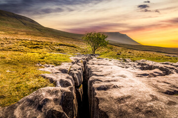 limestone pavement in the Yorkshire dales