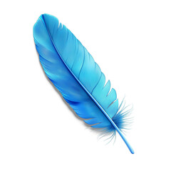 Wall Mural - blue feather isolated on white