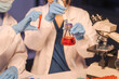 A female scientist conducts data analysis in a laboratory, research on medical equipment for chemistry analysis. healthcare diagnostics and treatments, vaccine, medicine.