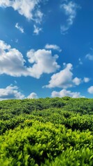 Wall Mural - Clouds and the green field.