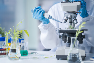 Female science biology laboratory worker using pipette, test tubes, microscope in sustainability plants research to experiment with the development of anti-aging medicine and vitamins