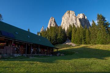 Wall Mural - The Landscape of the Carpathian Mountains in Romania