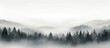 Capturing the serene beauty of fog-covered trees in a mountainous landscape against a clear sky backdrop