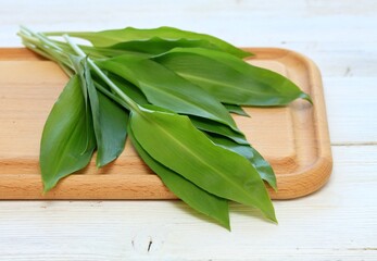 Fresh leaves of bear garlic on rustic wood chopping board. Wild garlic, lat. Allium ursinum, healthy spring edible plant.