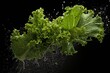 Kale , Throw it into the water and spread it out , vegetable , black background.